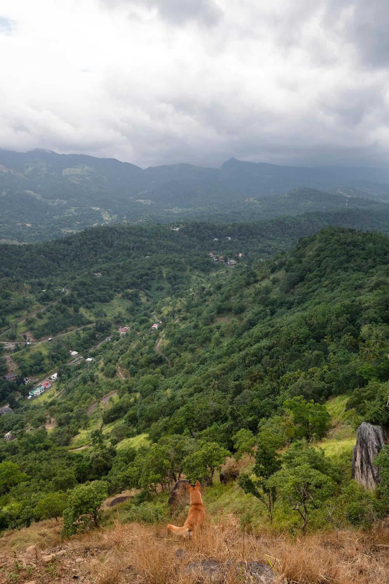 Kandy Victoria Eco Resort Dış mekan fotoğraf