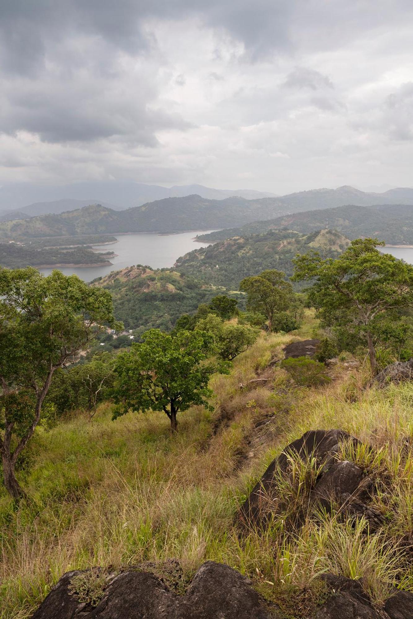 Kandy Victoria Eco Resort Dış mekan fotoğraf